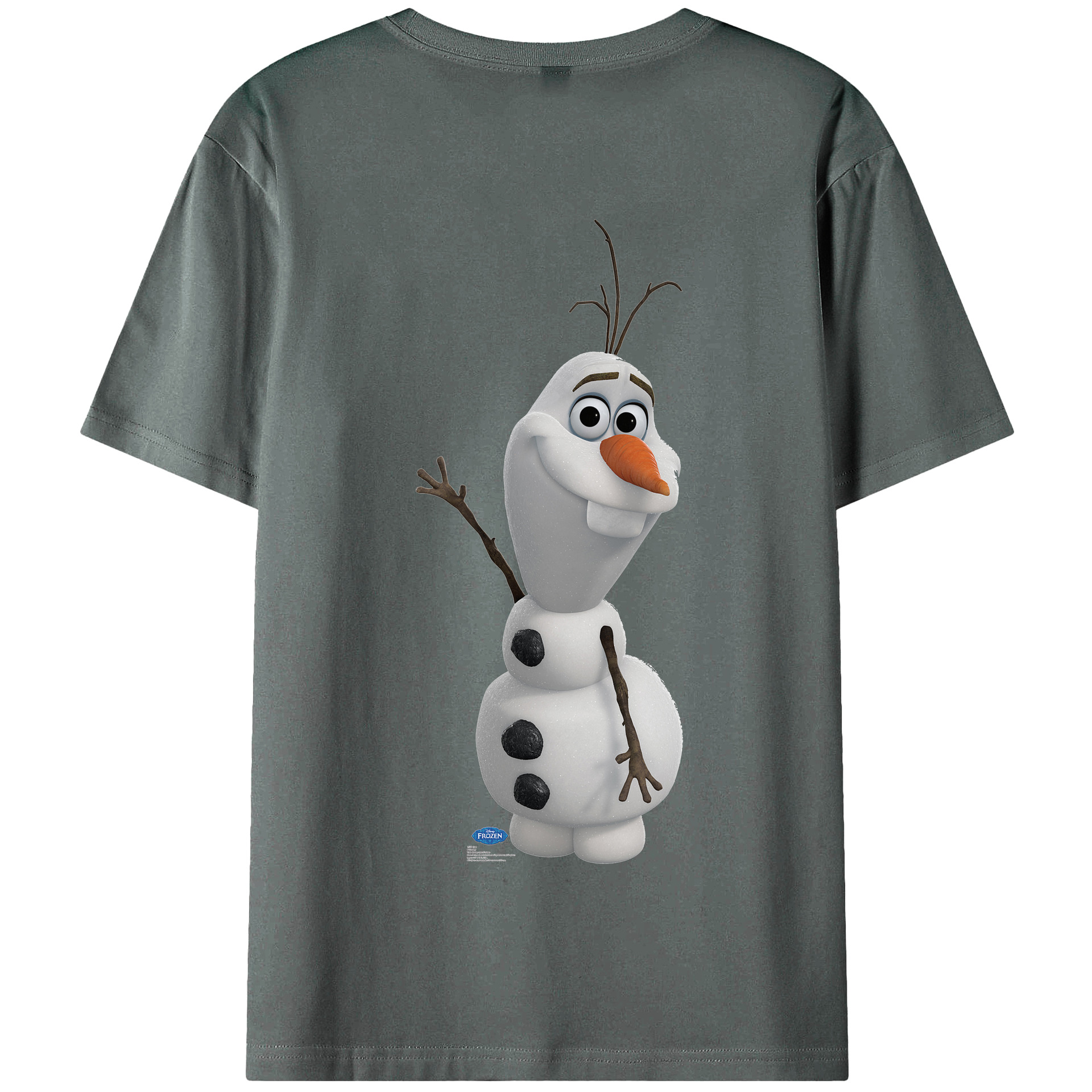 （画像用） アナと雪の女王 アンナ エルサ Frozen Anna Elsa 綿100％半袖Tシャツ（背面プリント）